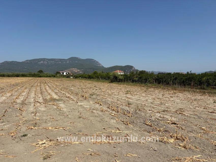 Для продажи Поле в Dalyan Ortaca - Под Поле застройку - 20.786 m²
