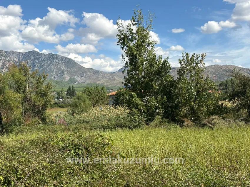Для продажи Поле в Zeytinalanı Köyceğiz - Под Поле застройку - 10.500 m²