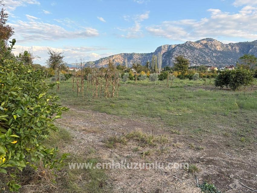 В Дальяне Продается Земельный Участок Площадью 7450 М² С Зонированием 5%.