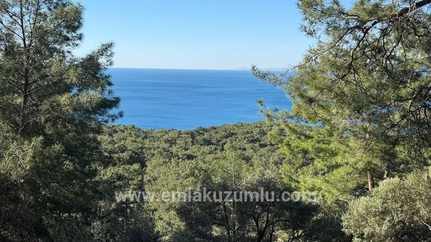 Поле 2b Площадью 5715 М2 С Панорамным Видом На Море В Чандыре