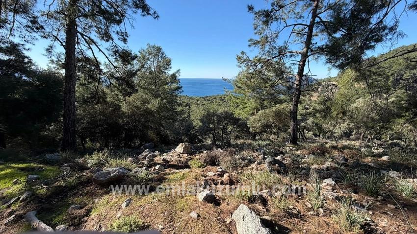 Для продажи Поле в Çandır Köyceğiz - Под Жилье застройку - 5.715 m²