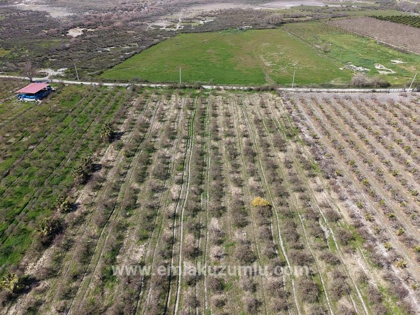 Гранатовый Сад Площадью 16.710 М2 На Продажу С Видом На Озеро В Эскикёй