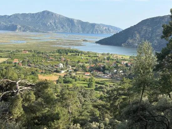 В Чандыре вид на озеро и природу 1252м2 продажа поля