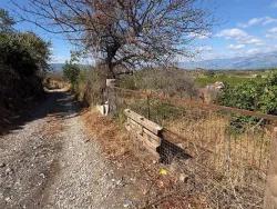 Для продажи Поле в Dalyan Ortaca - Под Поле застройку - 5.000 m²