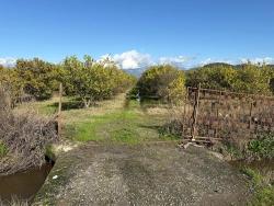 Для продажи Поле в Tepearası Ortaca - Под Виноградник и сад застройку - 23.000 m²