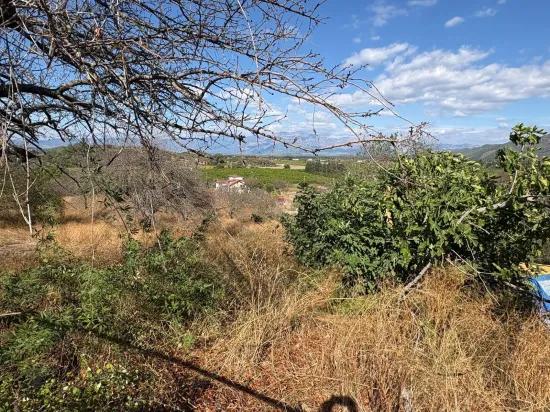 Поле Площадью 5.000m2 С Видом На Озеро В Dalyan Karadağ Продаётся