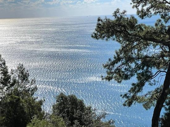 Чандыр 20.000m2 2b С Полным Видом На Море На Продажу