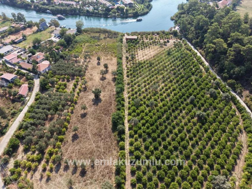 Köyceğiz Çandır Mahallesinde kanala sıfır 20.000m2 satılık tarla