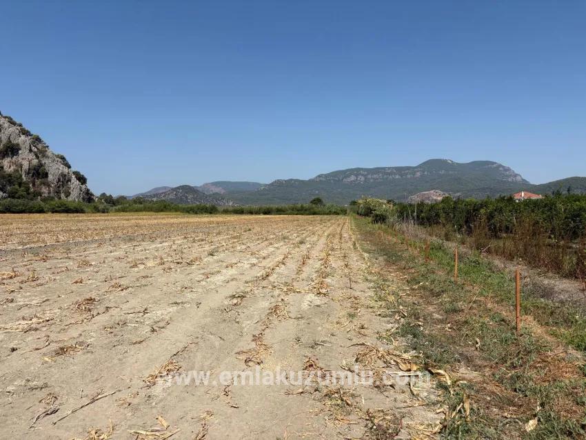 Ortaca Dalyan Mah. Satılık Tarla - Tarla İmar Durumlu - 20.786 m²