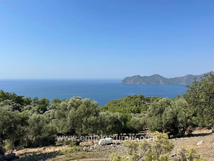 Köyceğiz Çandır Mah. Satılık Tarla - Tarla İmar Durumlu - 21.000 m²