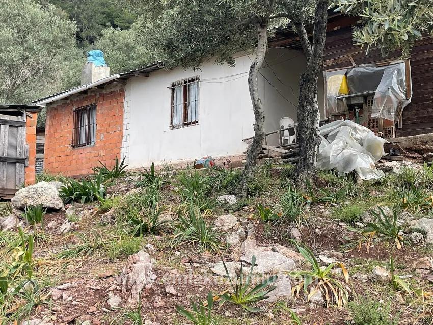 Köyceğiz Ekincik Mah. Satılık Tarla - Zeytinlik İmar Durumlu - 7.000 m²