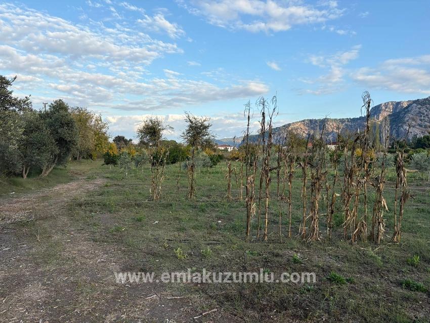 Dalyan'da 7.450m2 %5 İmarlı Satılık Arsa