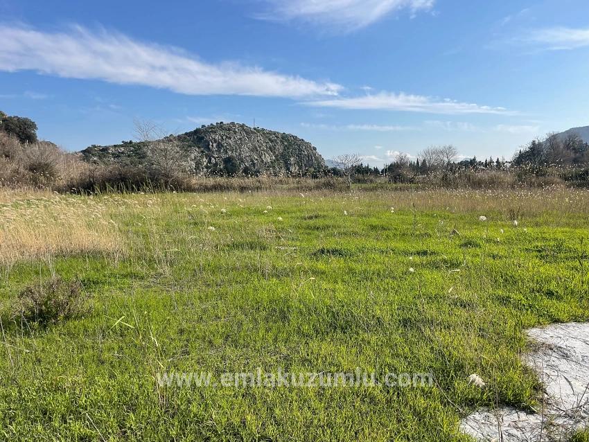 Dalyan'da 6800 M2 %5 Konut İmarlı Satılık Arsa