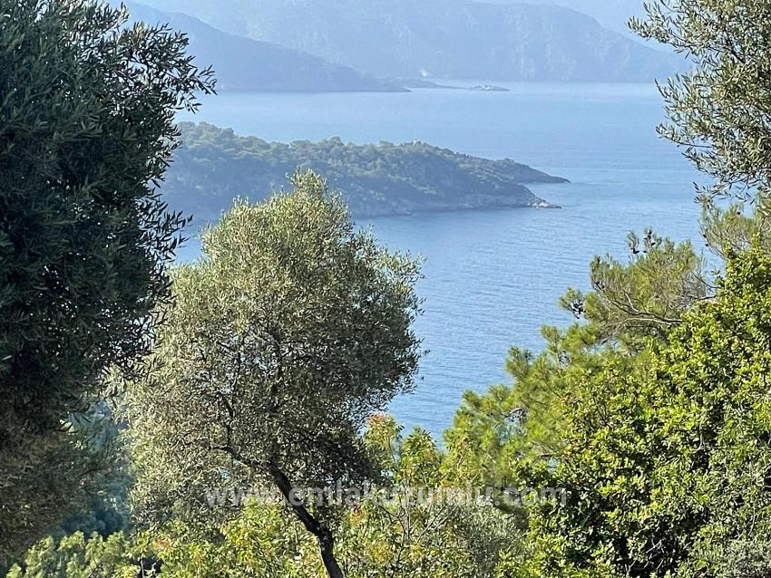 Ekincik Çandır Arasın'da Deniz Manzaralı Kelepir Emlak Satılık Arsa