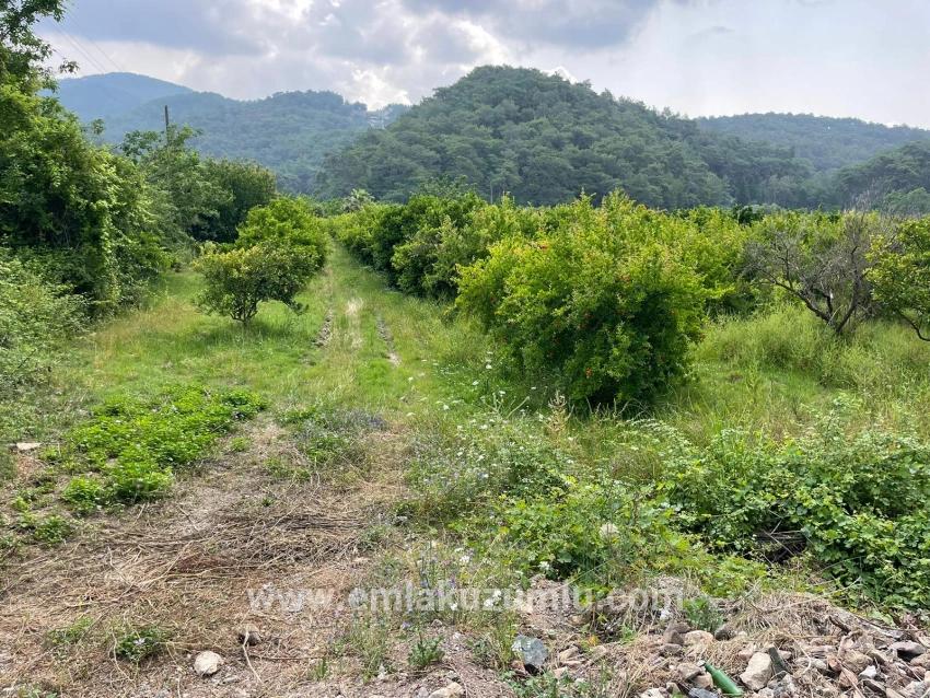 Gökbel'de İztuzu Plajı Yoluna Sıfır 7800m2 Satılık Arazi