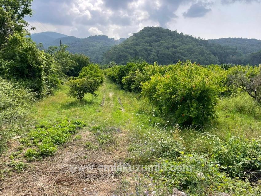 Gökbel'de İztuzu Plajı Yoluna Sıfır 7800m2 Satılık Arazi