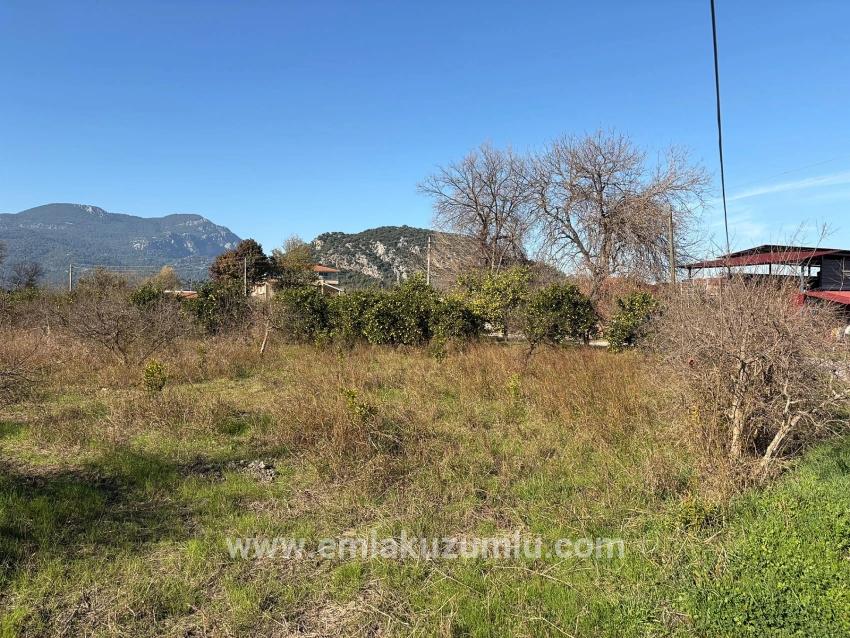 Ortaca Dalyan Mah. Satılık Tarla - Tarla İmar Durumlu - 4.541 m²