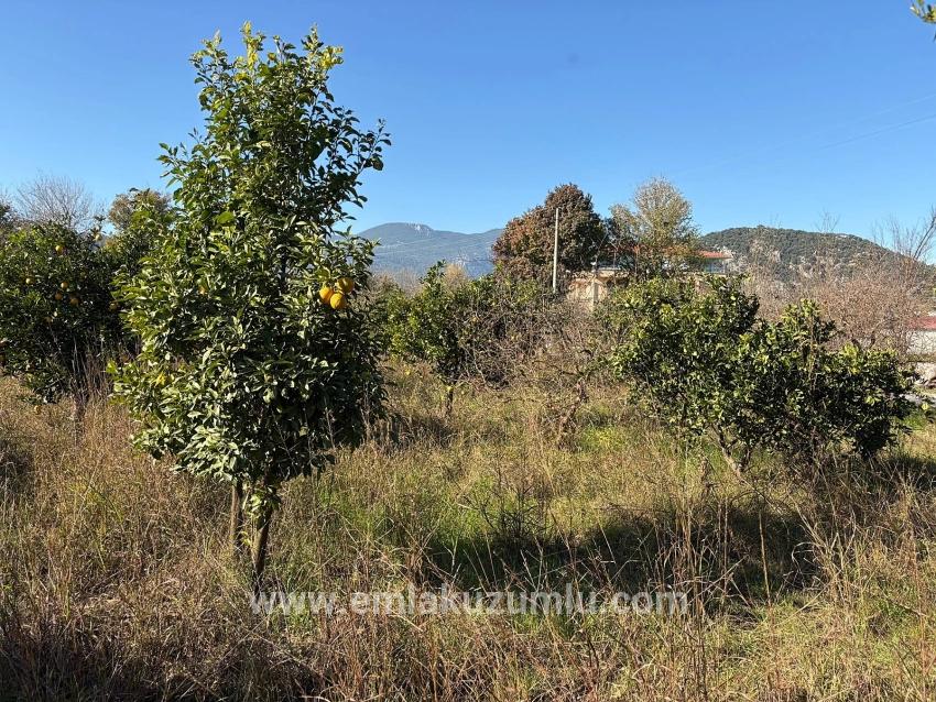 Ortaca Dalyan Mah. Satılık Tarla - Tarla İmar Durumlu - 4.541 m²