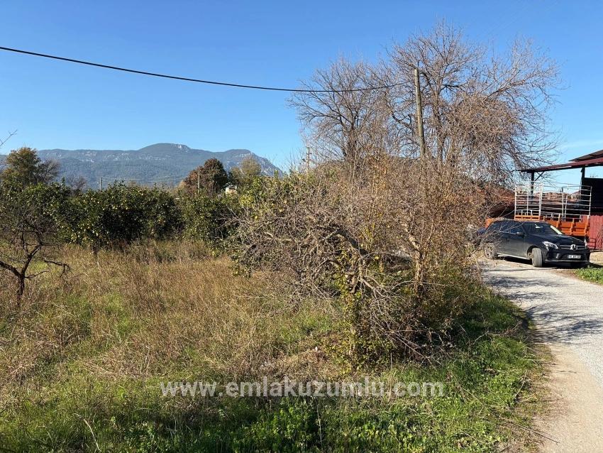 Ortaca Dalyan Mah. Satılık Tarla - Tarla İmar Durumlu - 4.541 m²