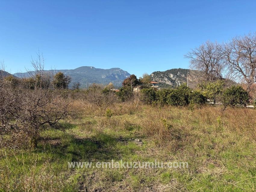 Ortaca Dalyan Mah. Satılık Tarla - Tarla İmar Durumlu - 4.541 m²