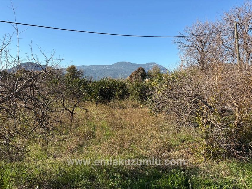 Ortaca Dalyan Mah. Satılık Tarla - Tarla İmar Durumlu - 4.541 m²