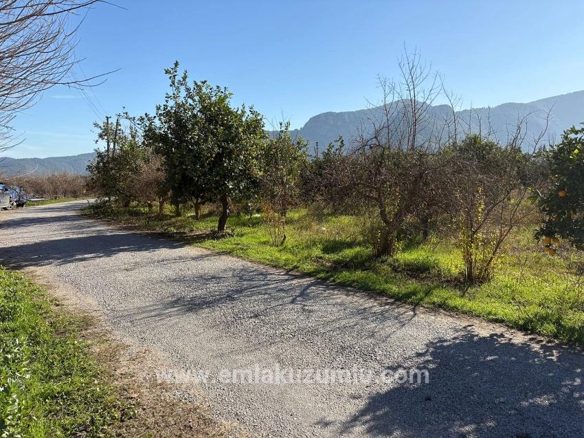 Ortaca Dalyan Mah. Satılık Tarla - Tarla İmar Durumlu - 4.541 m²