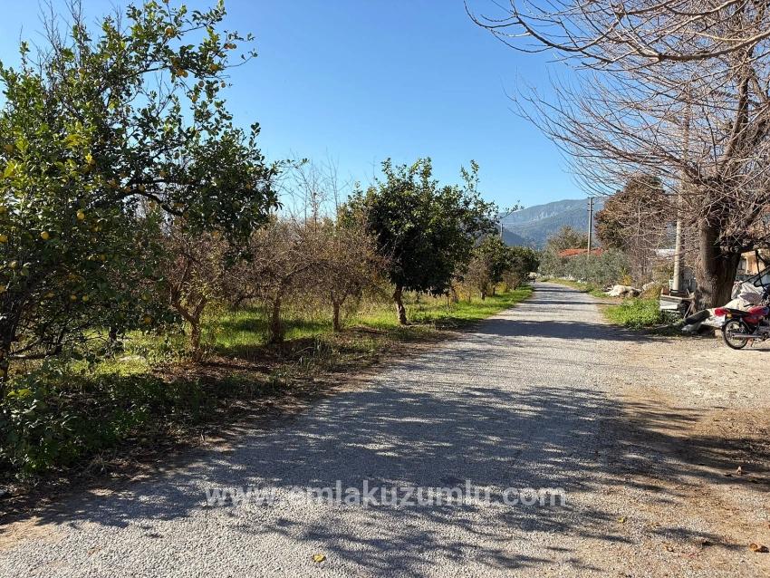 Ortaca Dalyan Mah. Satılık Tarla - Tarla İmar Durumlu - 4.541 m²
