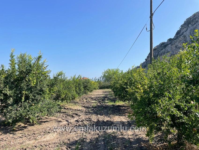 Ortaca Dalyan Mah. Satılık Tarla - Konut İmar Durumlu - 10.000 m²