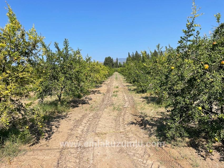 Ortaca Dalyan Mah. Satılık Tarla - Konut İmar Durumlu - 10.000 m²