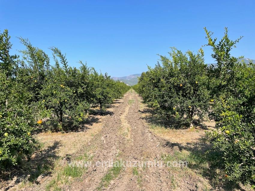 Ortaca Dalyan Mah. Satılık Tarla - Konut İmar Durumlu - 10.000 m²