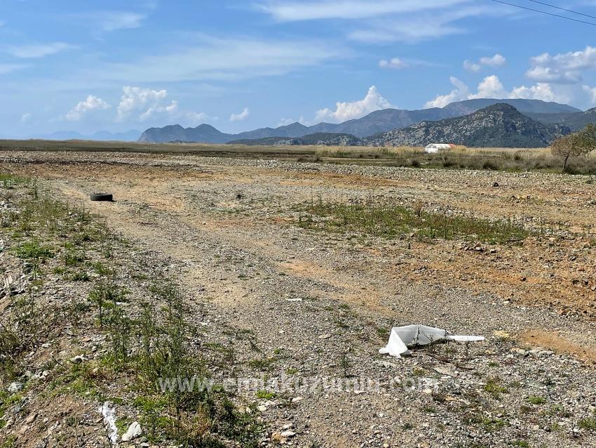 Dalyan İztuzu Plaj Yoluna Sıfır 19.600m2 Satılık Tarla