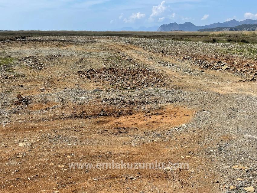 Dalyan İztuzu Plaj Yoluna Sıfır 19.600m2 Satılık Tarla