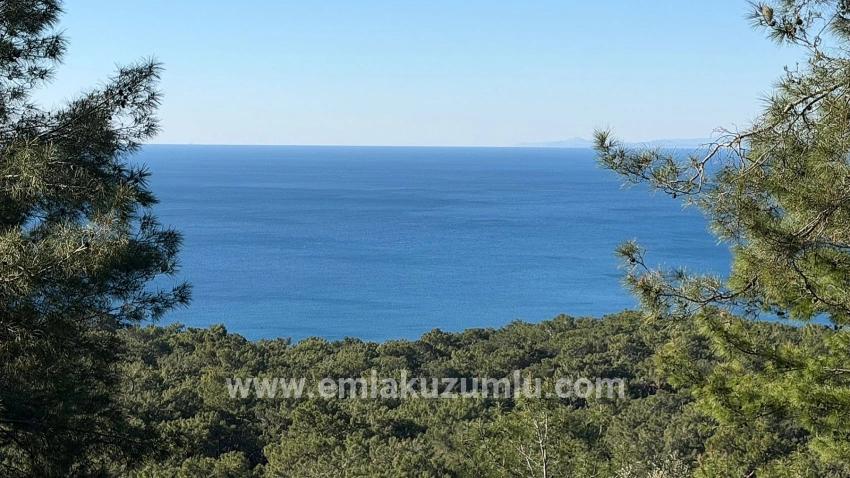 Köyceğiz Çandır Mah. Satılık Tarla - Konut İmar Durumlu - 5.715 m²