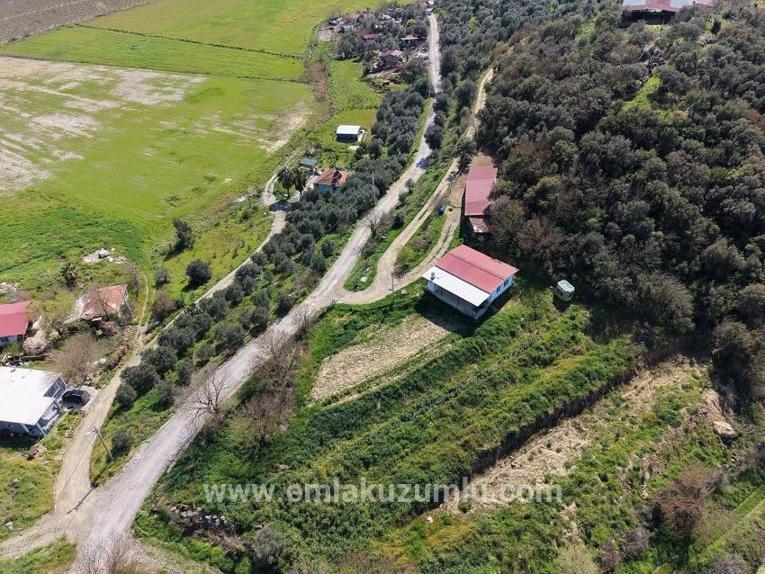 Eskiköy'de Göl Manzaralı 16.710m2 Satılık Nar Bahçesi