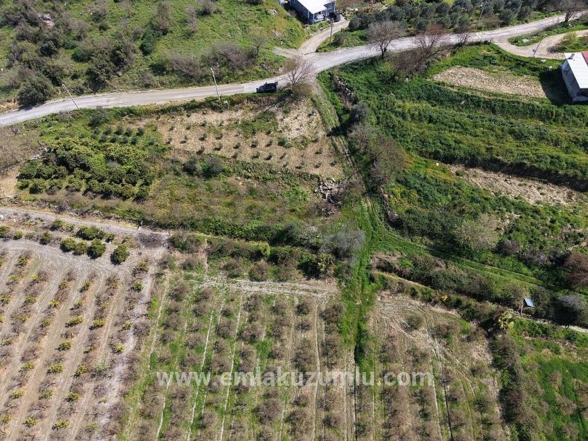Eskiköy'de Göl Manzaralı 16.710m2 Satılık Nar Bahçesi