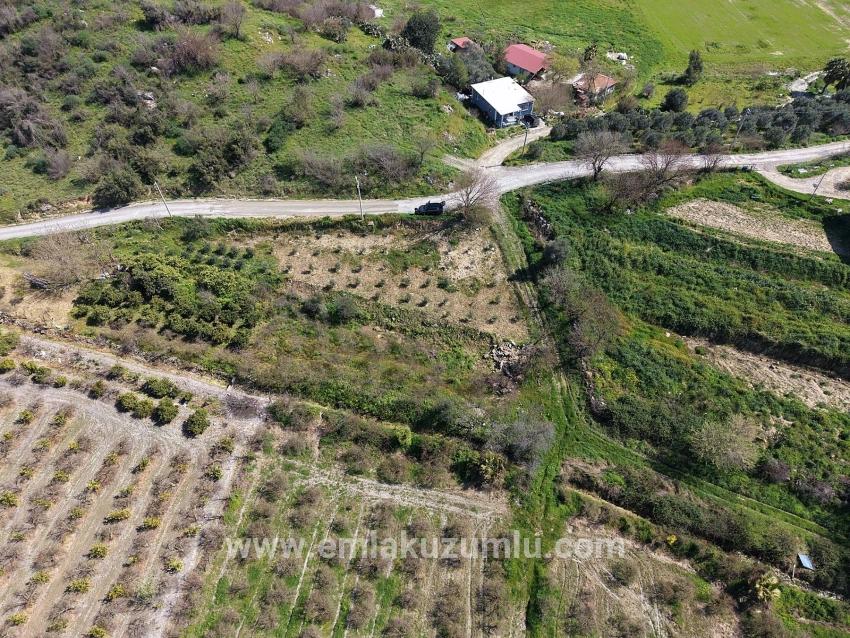 Eskiköy'de Göl Manzaralı 16.710m2 Satılık Nar Bahçesi