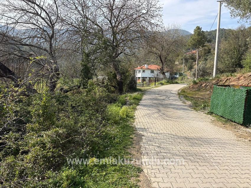 Köyceğiz Çandır Köyü'de Hisseli Rızai Taksimli 2.023m2 Satılık Tarla