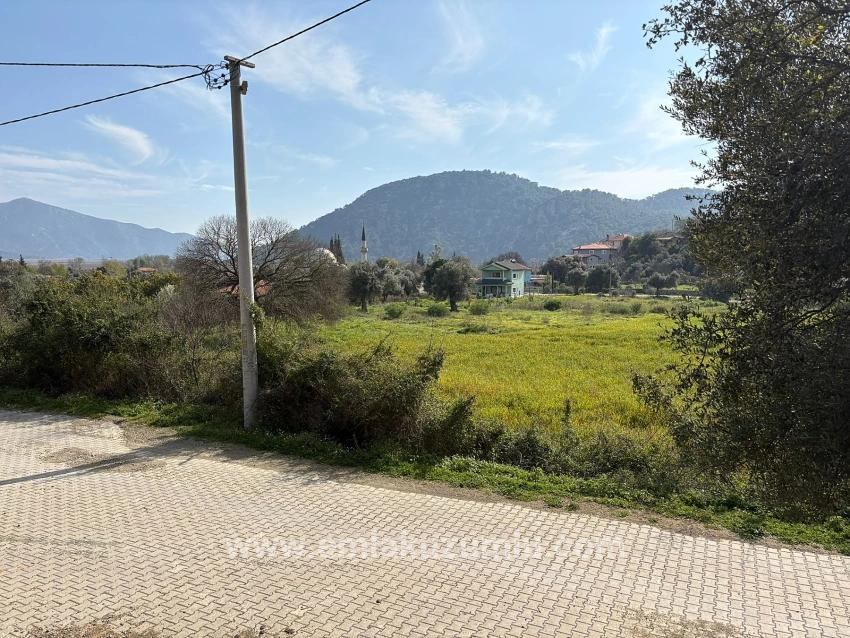 Köyceğiz Çandır Köyü'de Hisseli Rızai Taksimli 2.023m2 Satılık Tarla