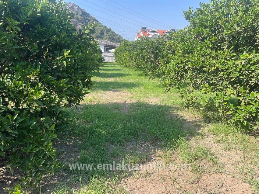 Dalyan Gülpınar'da 722m2 Satılık Arsa