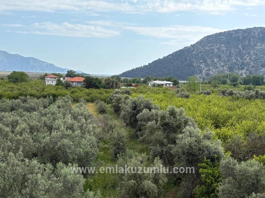 Çandır'da Deniz Ve Göl Manzaralı 1.721m2 Satılık Tarla