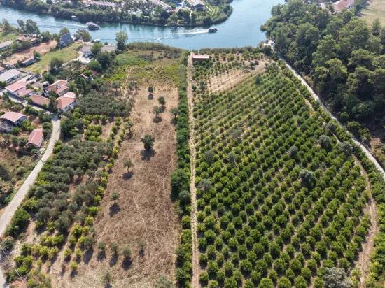 Köyceğiz Çandır Mahallesinde kanala sıfır 20.000m2 satılık tarla