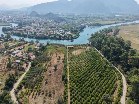 Köyceğiz Çandır Mahallesinde kanala sıfır 20.000m2 satılık tarla