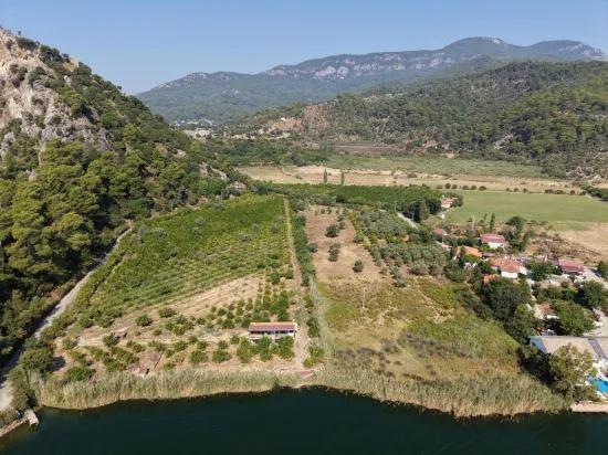 Köyceğiz Çandır Mahallesinde kanala sıfır 20.000m2 satılık tarla
