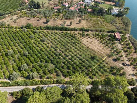 Köyceğiz Çandır Mahallesinde kanala sıfır 20.000m2 satılık tarla