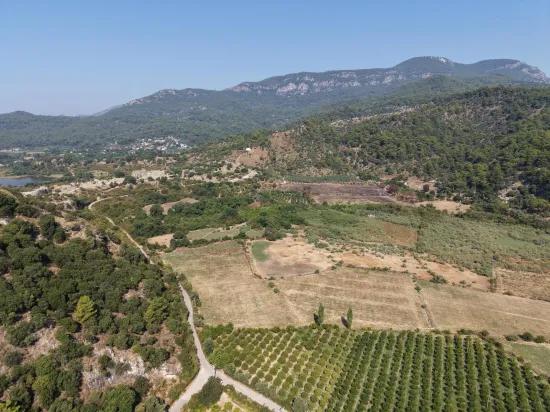 Köyceğiz Çandır Mahallesinde kanala sıfır 20.000m2 satılık tarla