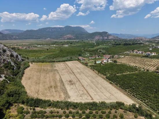 Dalyan'da 20.786m2 satılık tarla