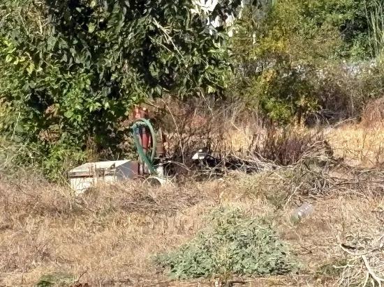 Dalyan'da 3.180m2 %5 İmarlı satılık arsa