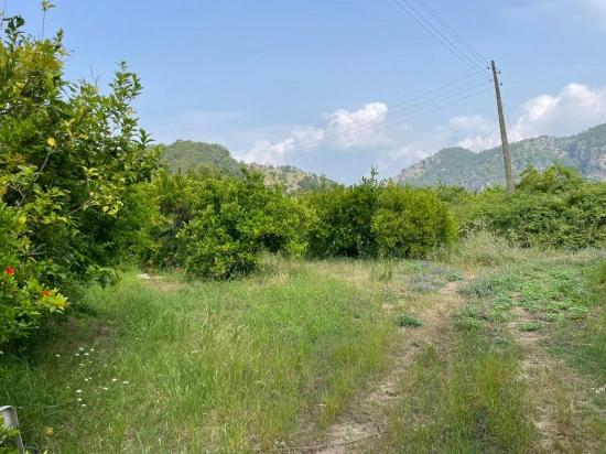 Gökbel'de İztuzu Plajı Yoluna Sıfır 7800m2 Satılık Arazi