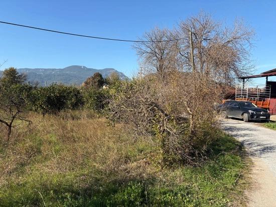 Dalyan'da 4.541m2 Satılık Bahçe