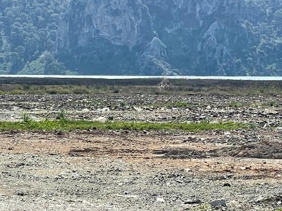 Dalyan İztuzu Plaj Yoluna Sıfır 19.600m2 Satılık Tarla